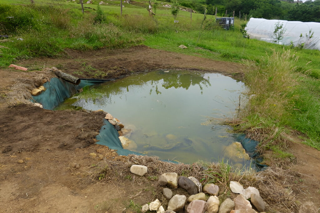 pond liner
