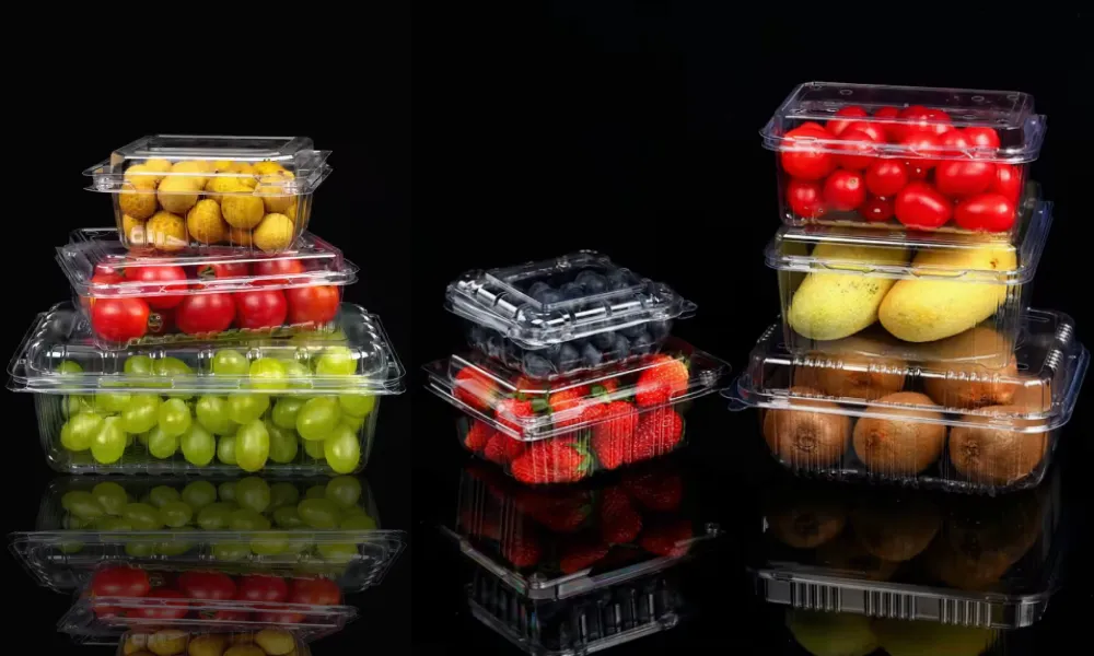 What Every Malaysian Meal Tells Us About Plastic and Power